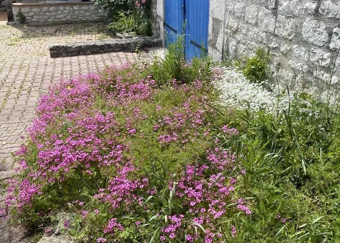 Dom wakacyjny De Lartigue *